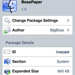 bosspaper-02