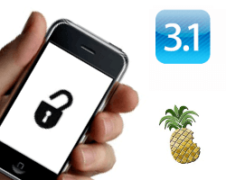 Jailbreak iPhone 3G OS 3.1 by PwnageTool 3.1 on Mac