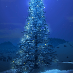 bluechristmastree bluechristmastree