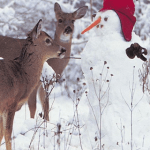 snowmanwithdeers snowmanwithdeers