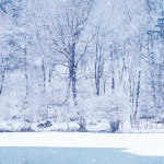 winter winter