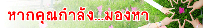 หารายได้พิเศษ