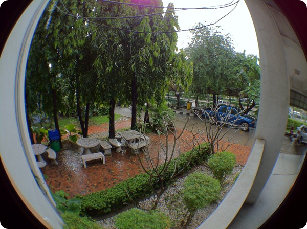 Photo-Ollo-Clip (10)