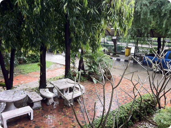 Photo-Ollo-Clip (11)