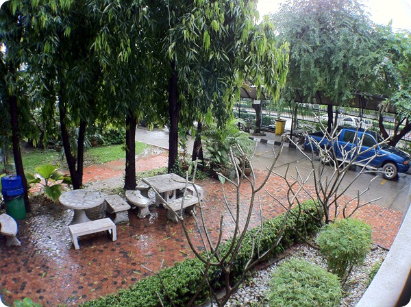 Photo-Ollo-Clip (12)