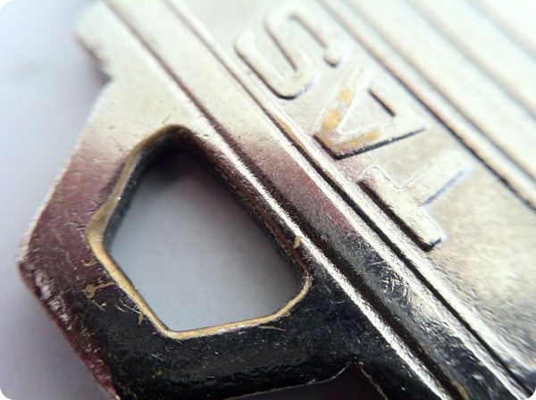 Photo-Ollo-Clip (21)