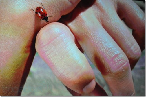 apple-ipad-3-ipad-hd-liveblog-2965