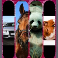 Photo-Frame-Plus-Pro (5)