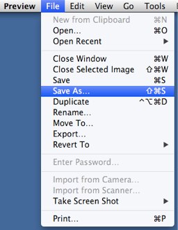 preview-with-save-as