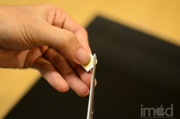 convert-microsim-to-nanasim-DSC_3734