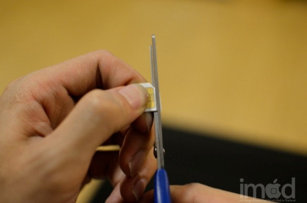 convert-microsim-to-nanasim-DSC_3737