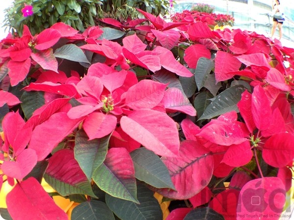 Photo-App (2) Photo-App (2)