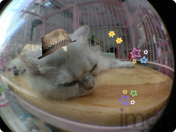 Photo-App (8) Photo-App (8)