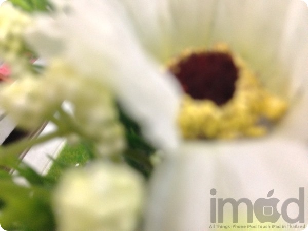 Photo-Macro (5) Photo-Macro (5)