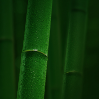 iMUI-Wallpaper-01