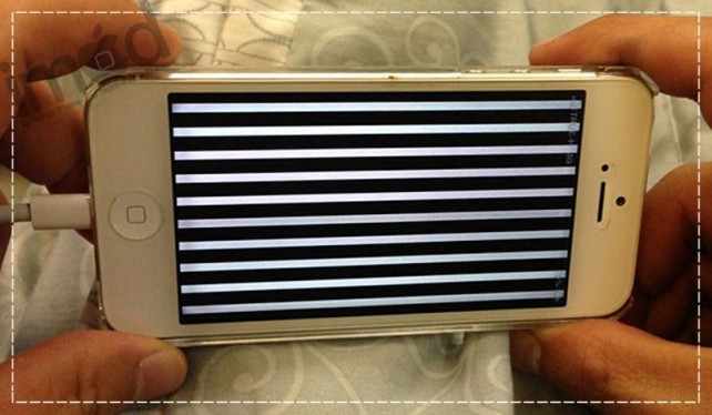 Why not use true lightning cable (4)