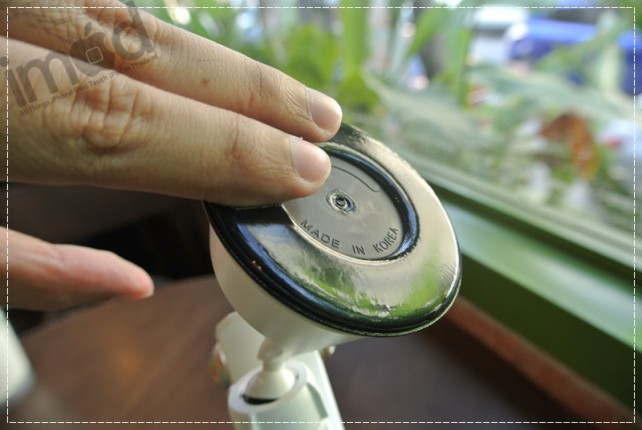 Taylor - Dash Crab FX (10)