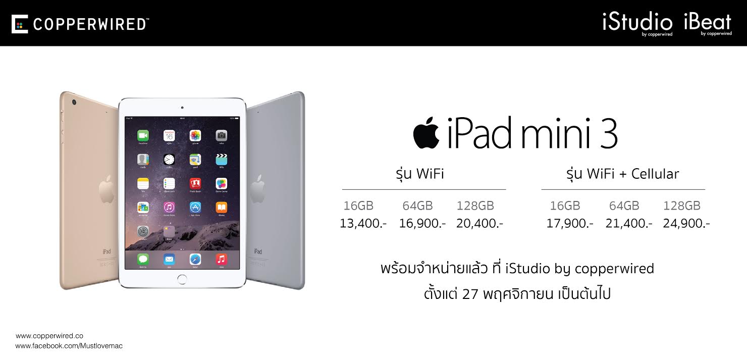 ipadmini3-copperwired