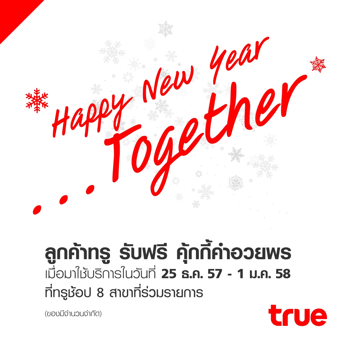 true-newyear-gift2015