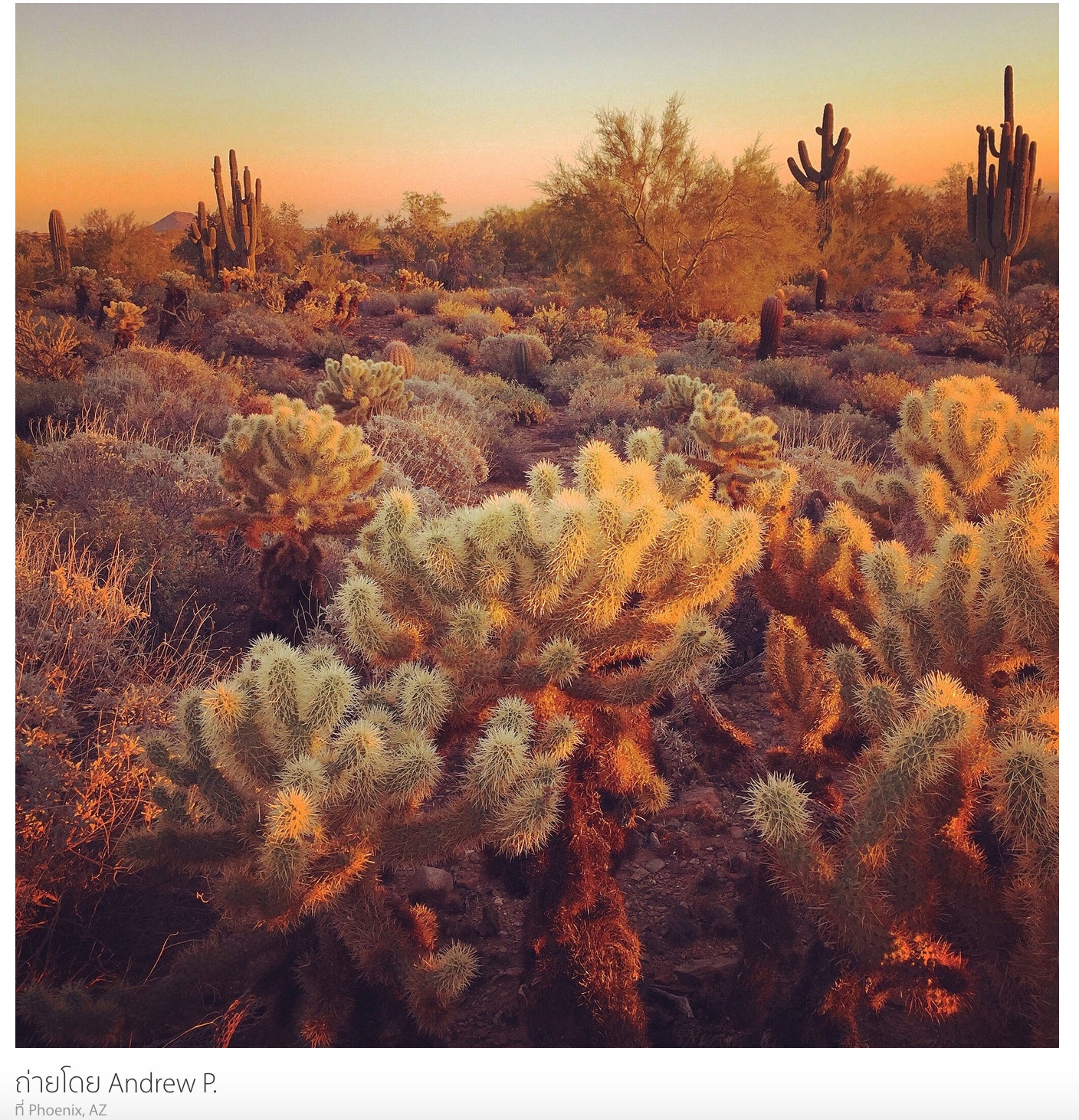 Screenshot 2015-03-02 12.22.28