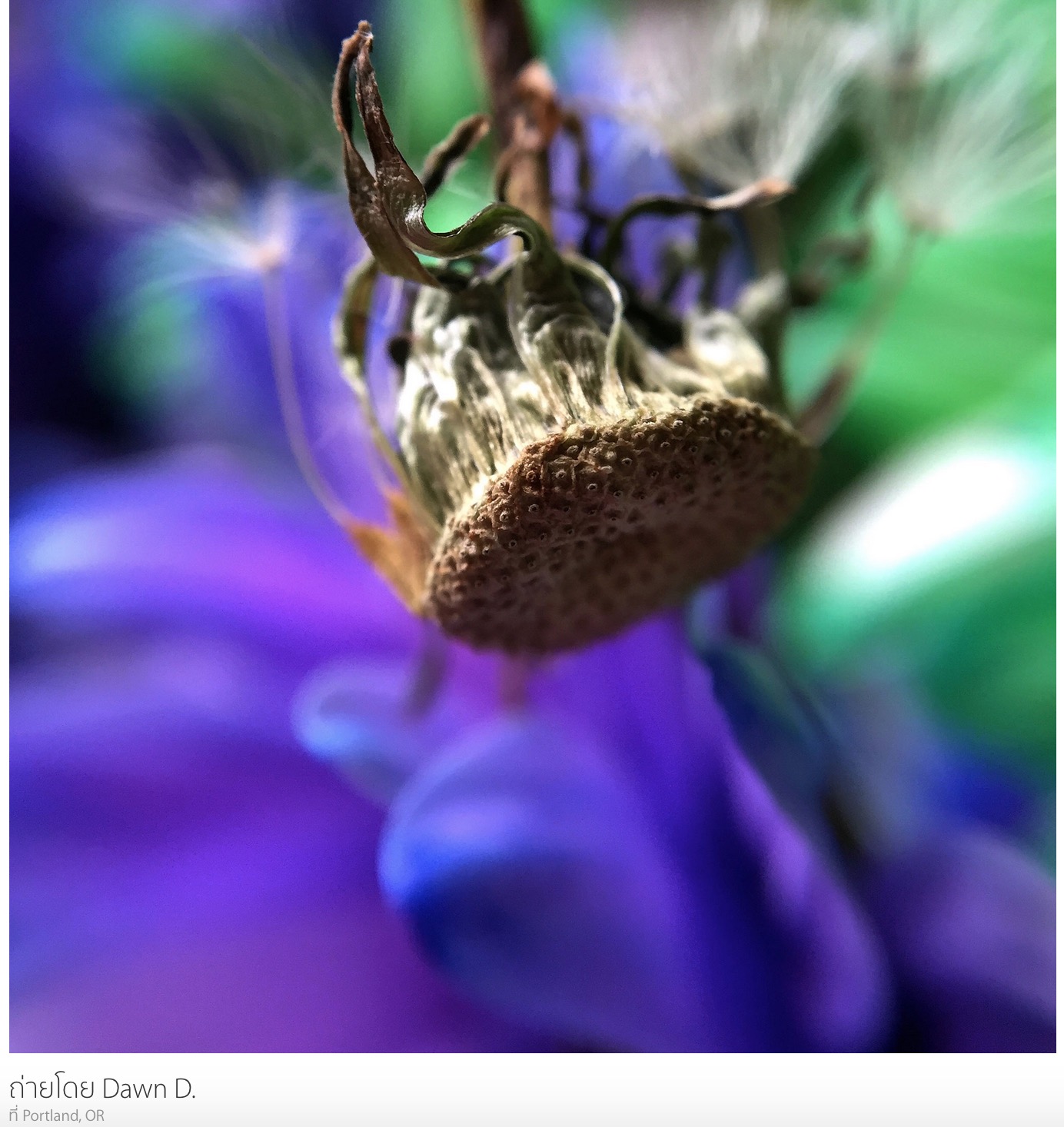 Screenshot 2015-03-02 12.23.30