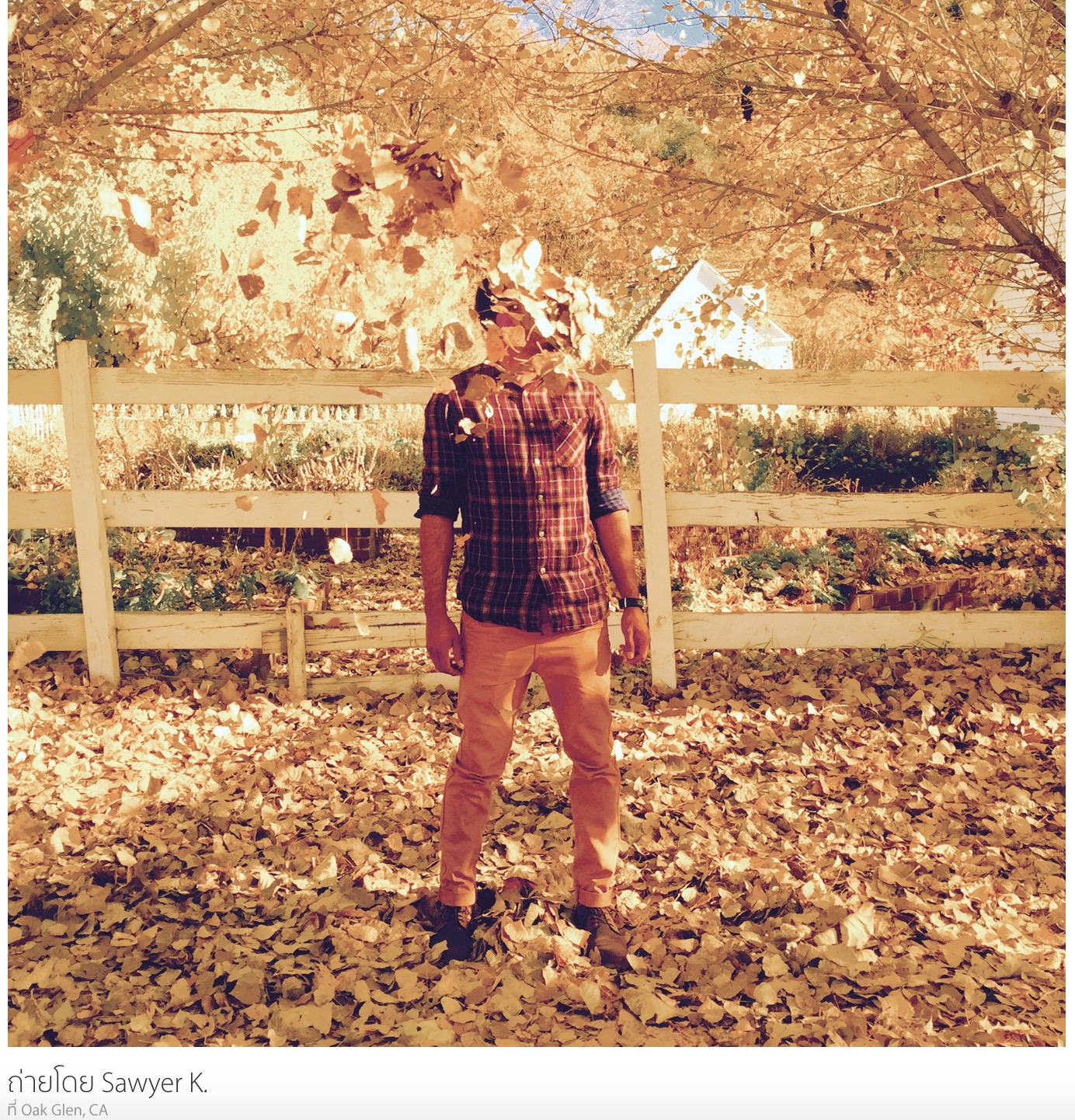 Screenshot 2015-03-02 12.23.41