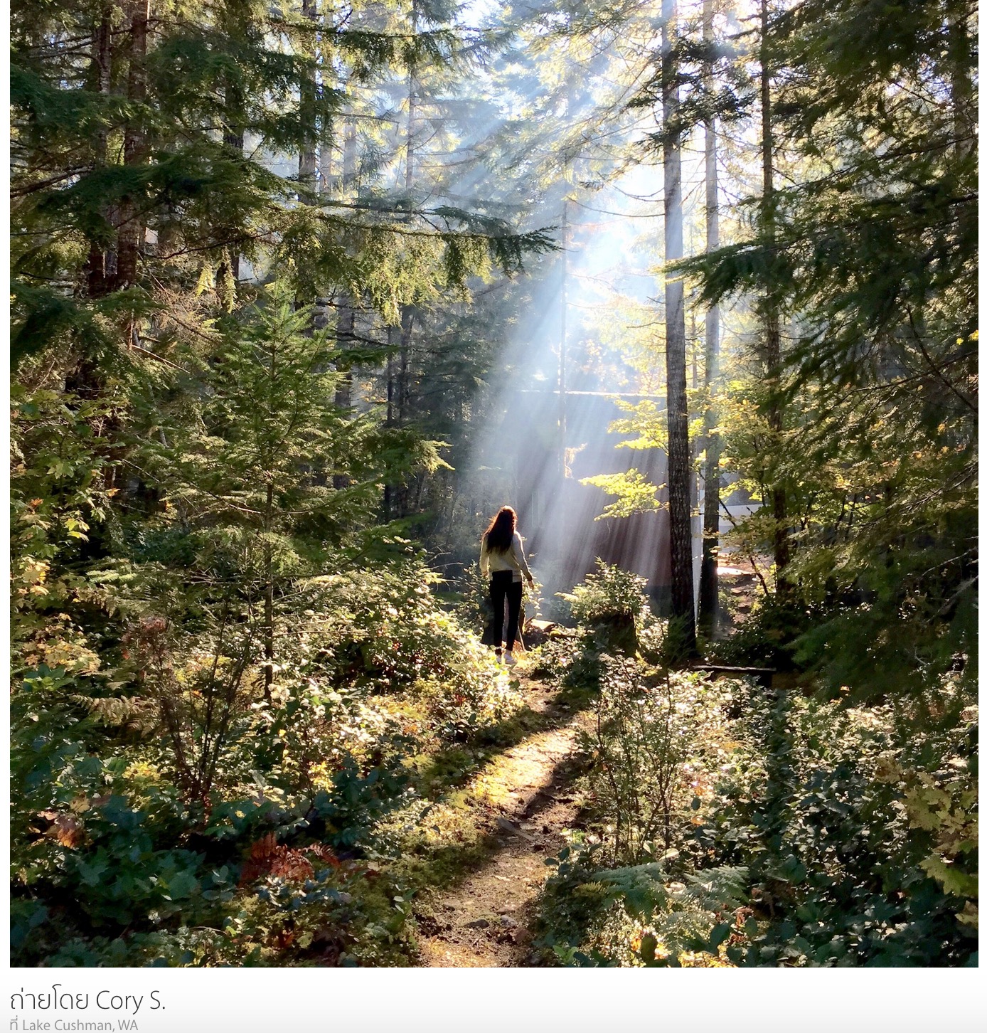 Screenshot 2015-03-02 12.23.52