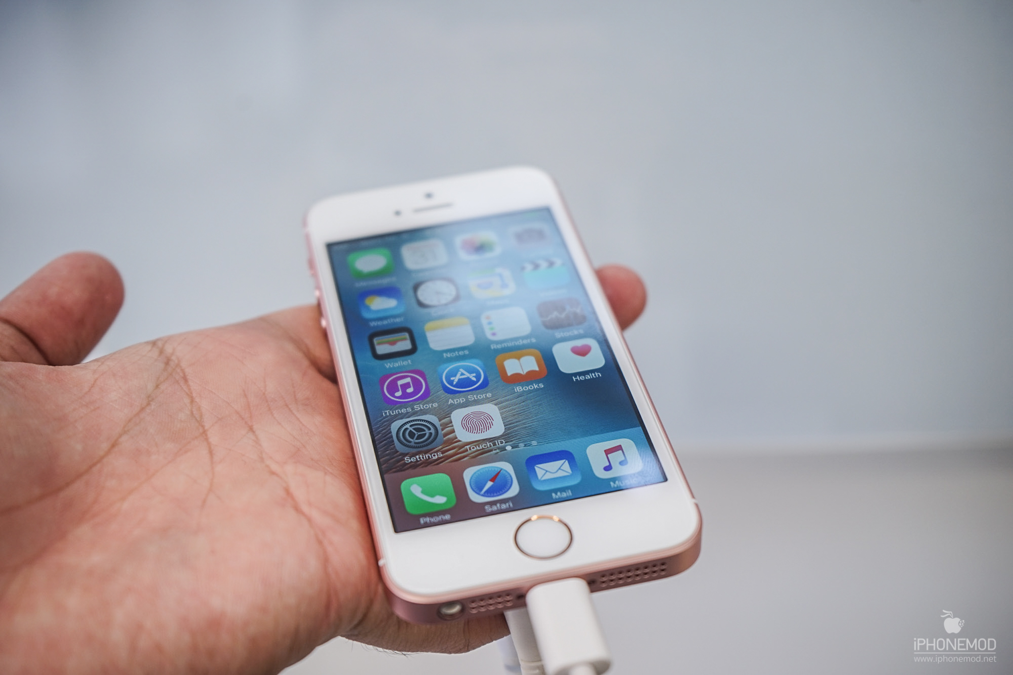IPhone SE Apple IPhone SE Apple