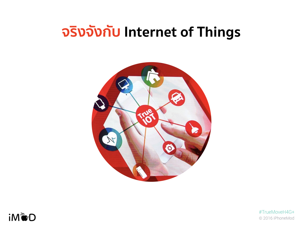 tmh-2016-overview-11