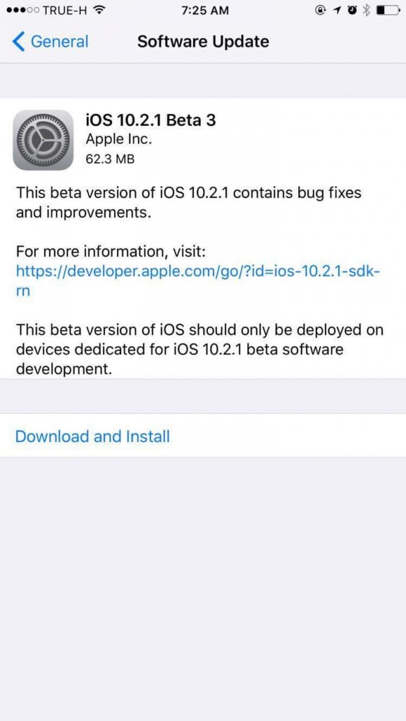 ios 12 developer beta profile