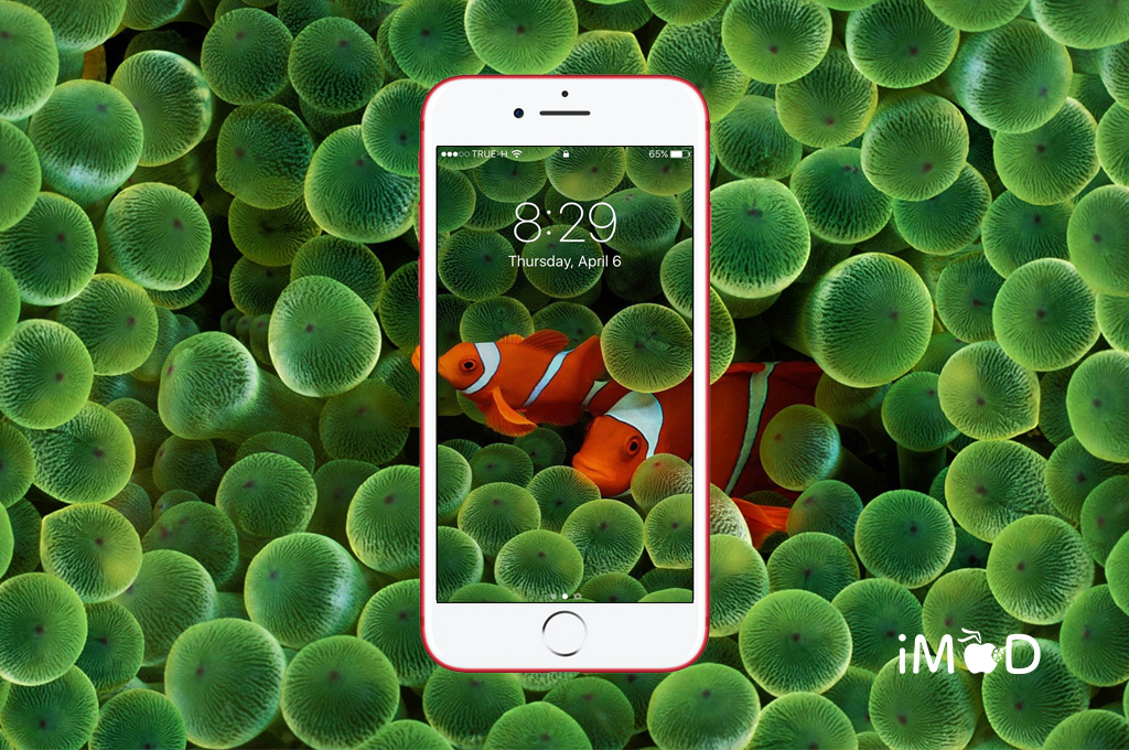 Pin on Apple Fish wallpaper iphone, Live wallpaper iphone, Iphone 6s wallpaper
