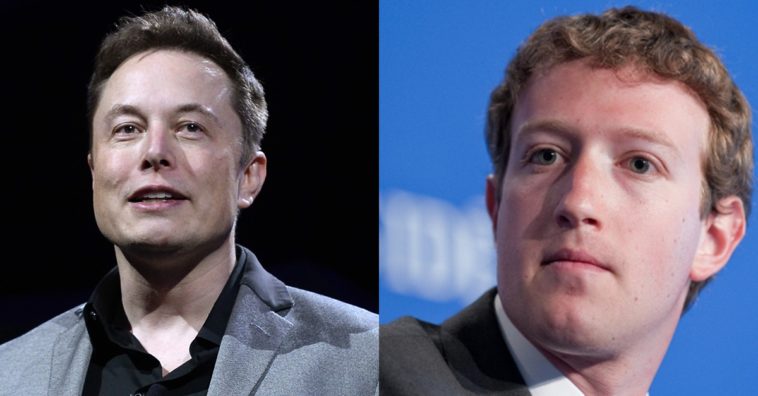 Mark Zuckerberg Vs Elon Musk Cover