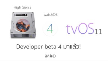 Developer Beta 4