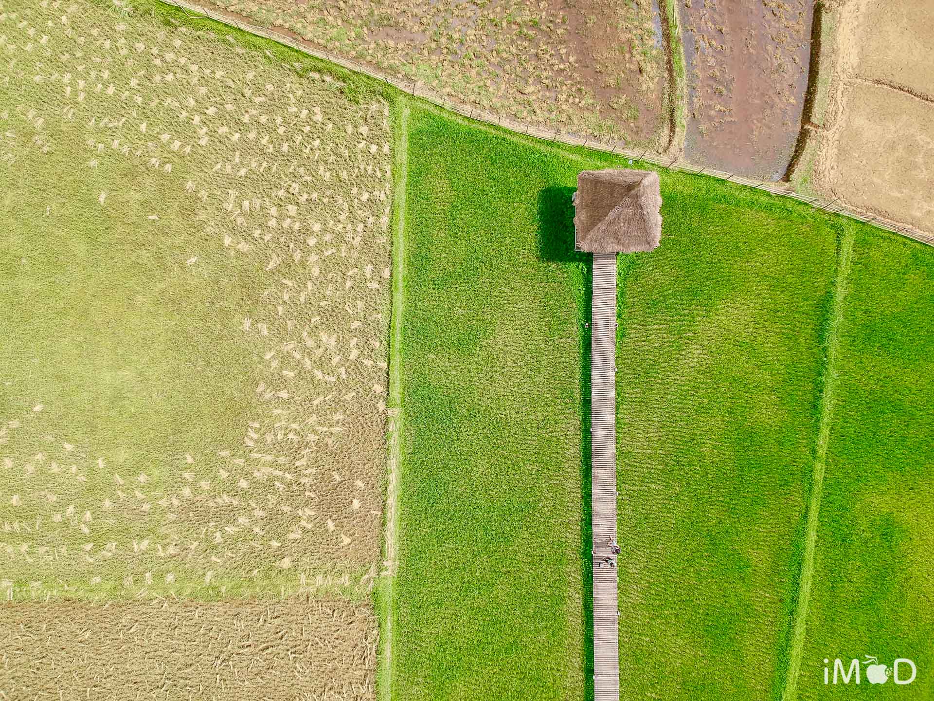 Dji Saprk Review 35 2