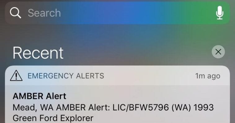 20507607 10210989215304961 3211456283495084298 O