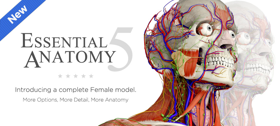 App Essentialanatomy5 Cover