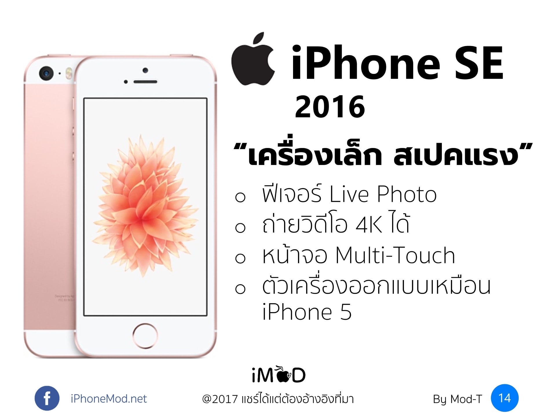 10th Years Iphone 14