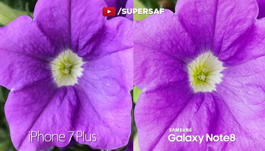 Note 8 Vs Iphone 7 Plus Camera Comaparison 19
