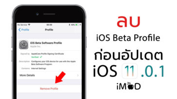 Ios11 0 1 Beta Profile