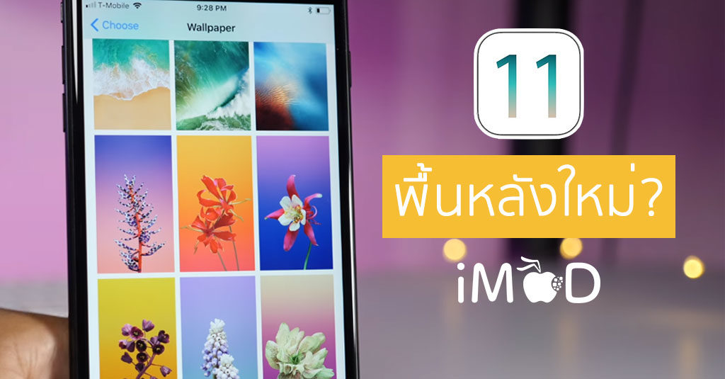 Ios11 Gm Wallpaper Leaks