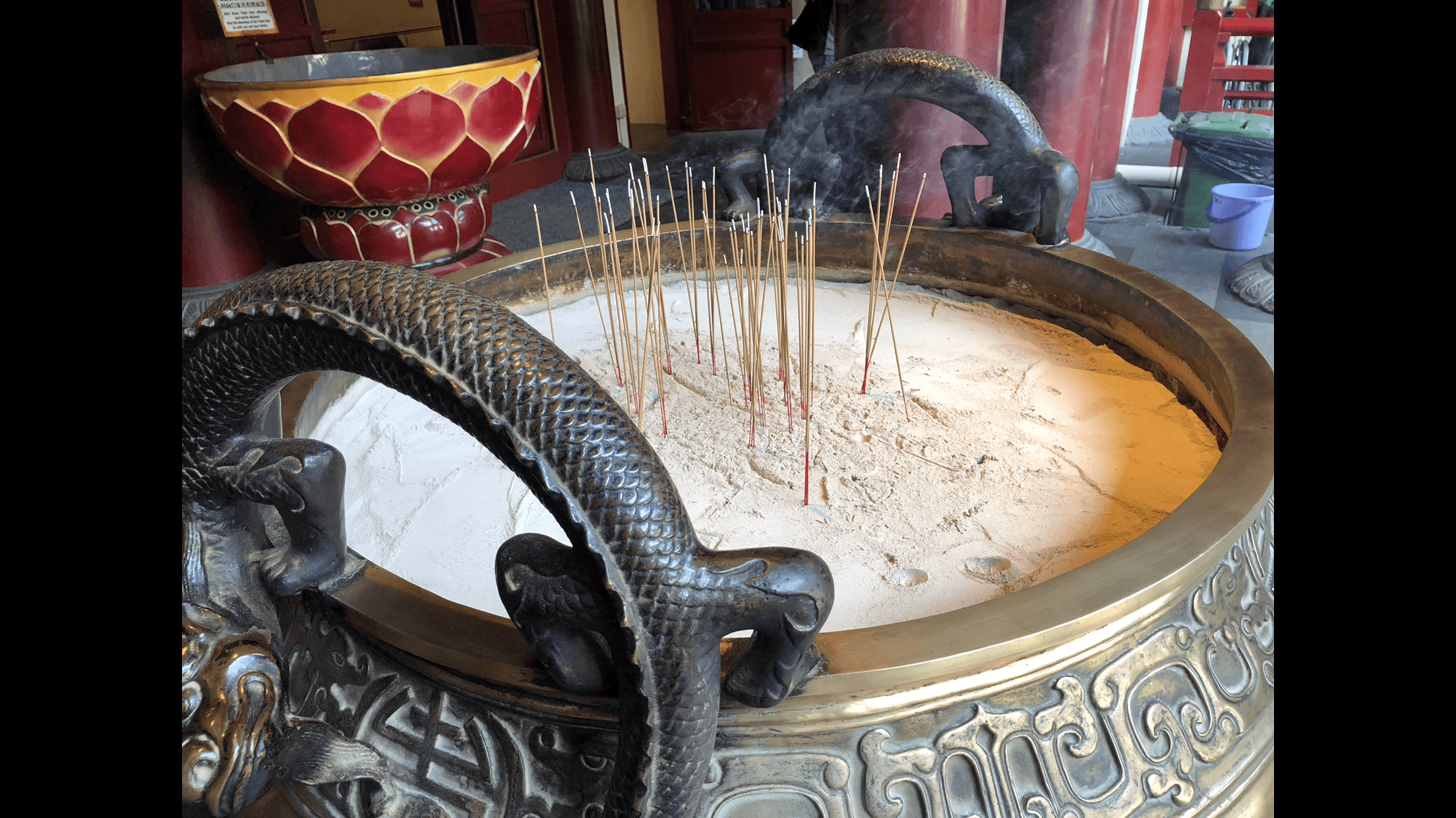 Iphone 8 Plus Photo 15