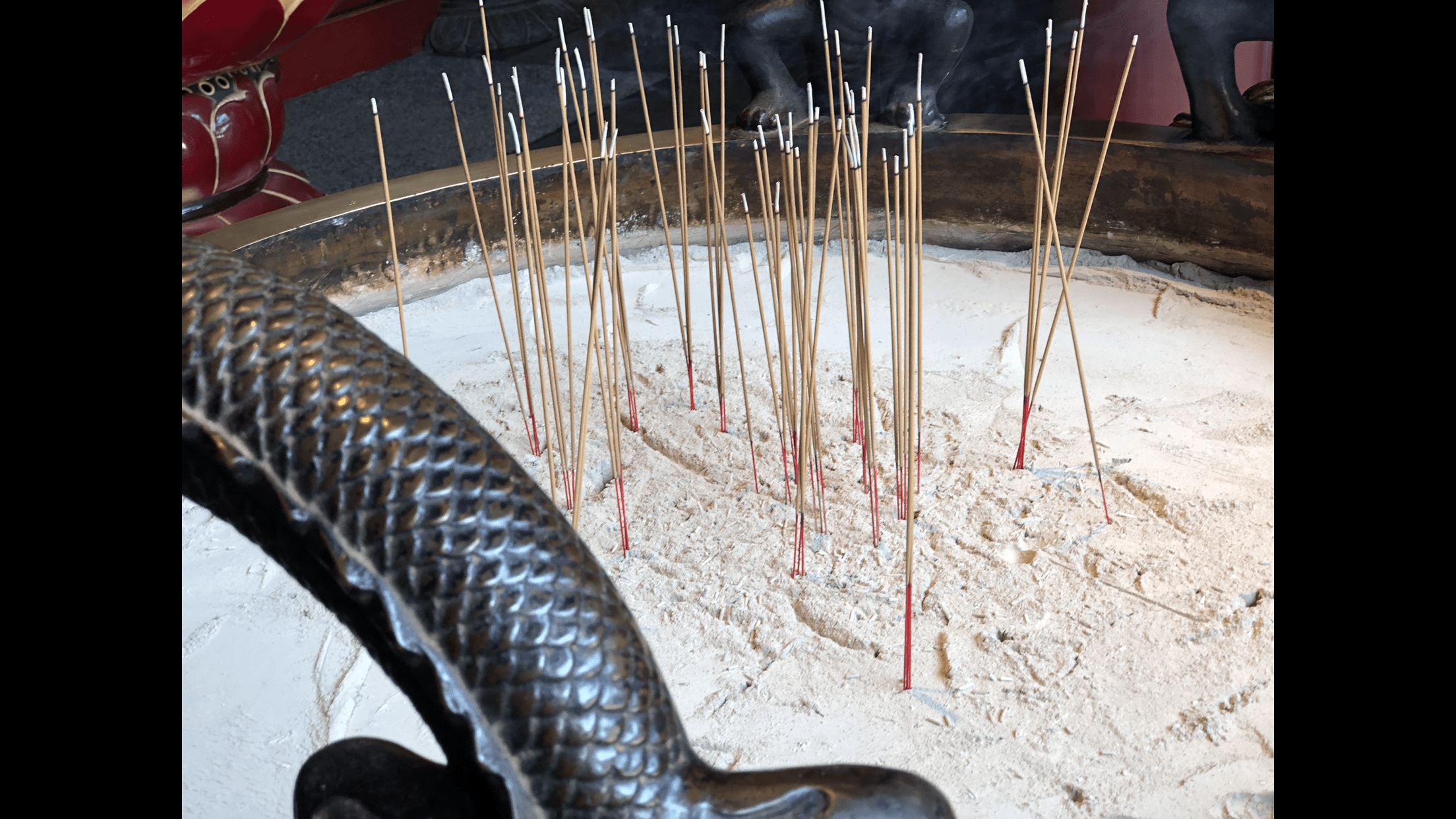 Iphone 8 Plus Photo 16