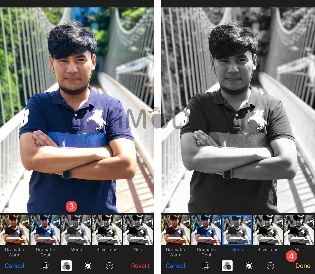 Facebook Profile Blackwhite Ribbon 2