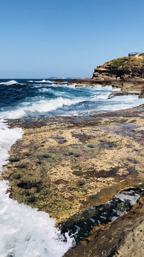 Shot On Iphone 8 Plus 11