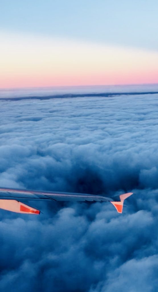 Shot On Iphone 8 Plus 13