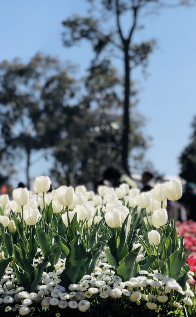 Shot On Iphone 8 Plus 2