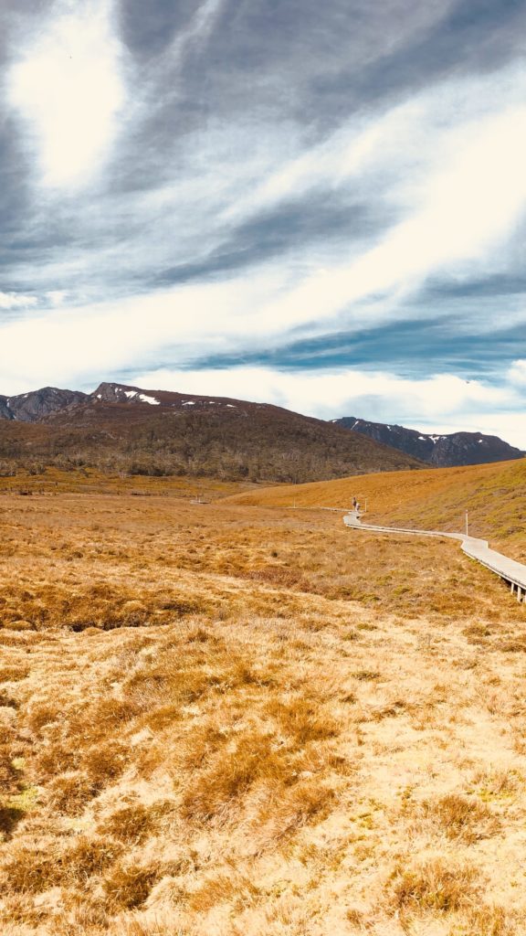 Shot On Iphone 8 Plus 7