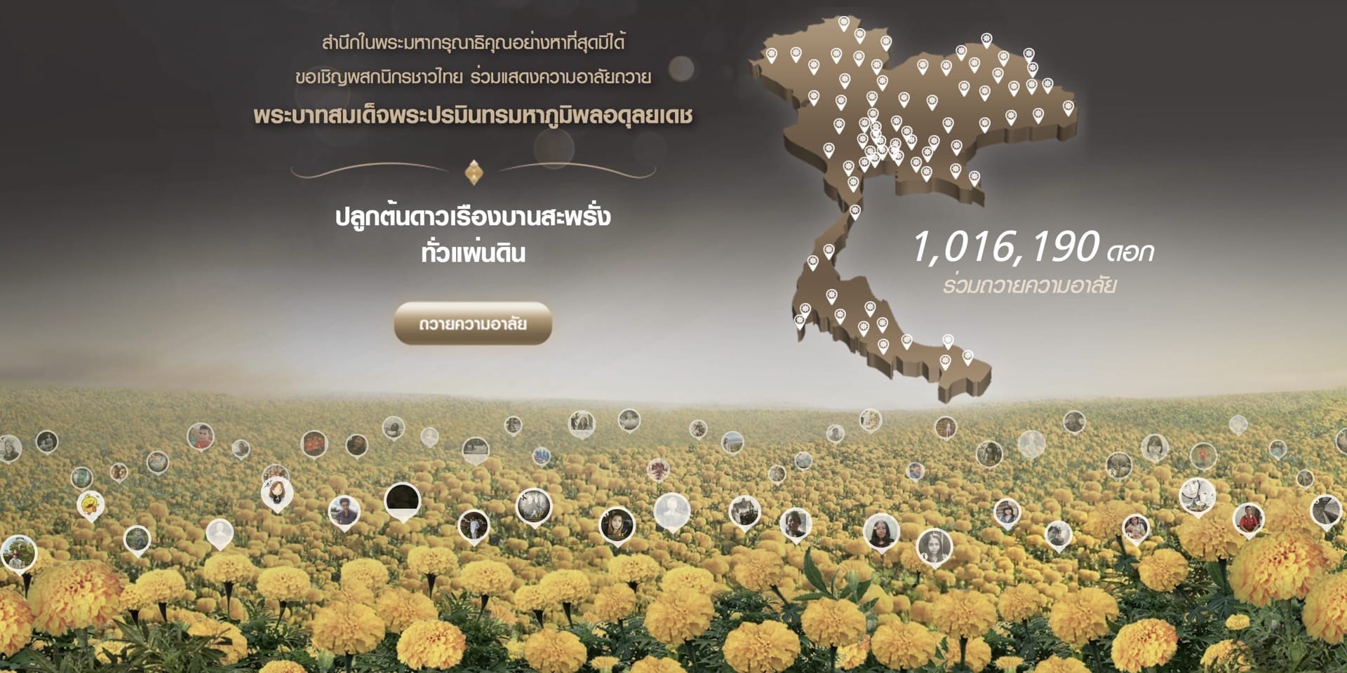 I Will Do For King 1