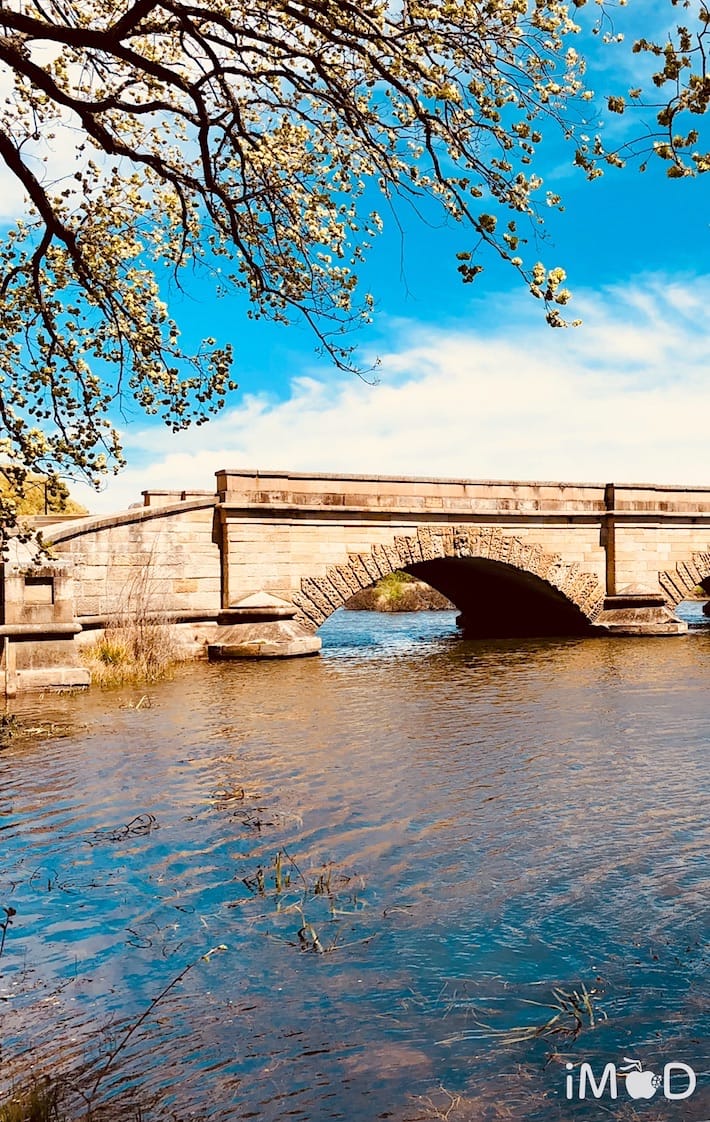 Live Photos Ios 11 4