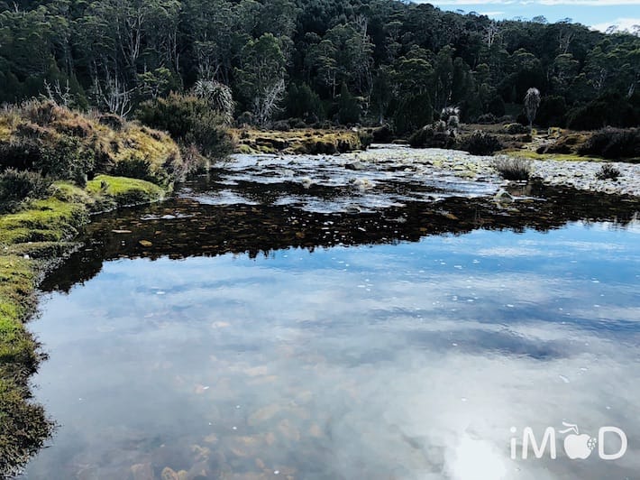 Live Photos Ios 11 5